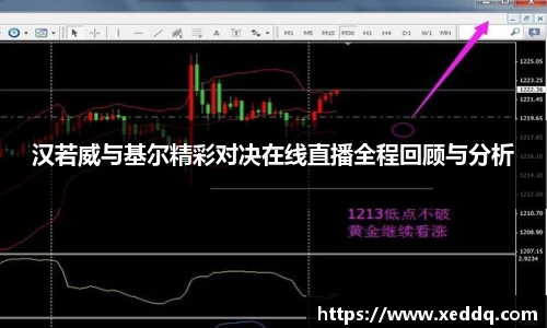 汉若威与基尔精彩对决在线直播全程回顾与分析